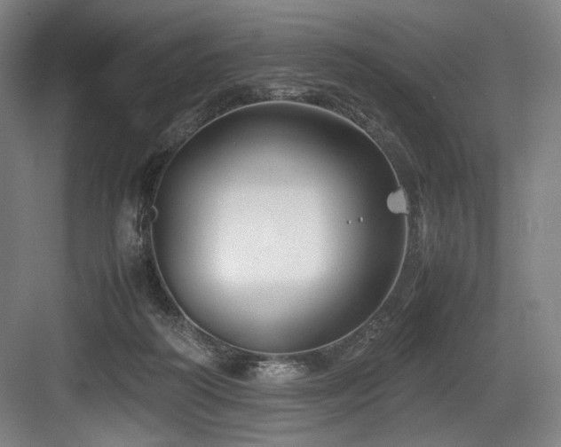 X0000083660218200702121224