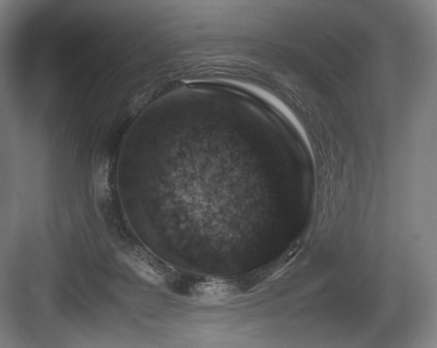 X0000083660219200702121224