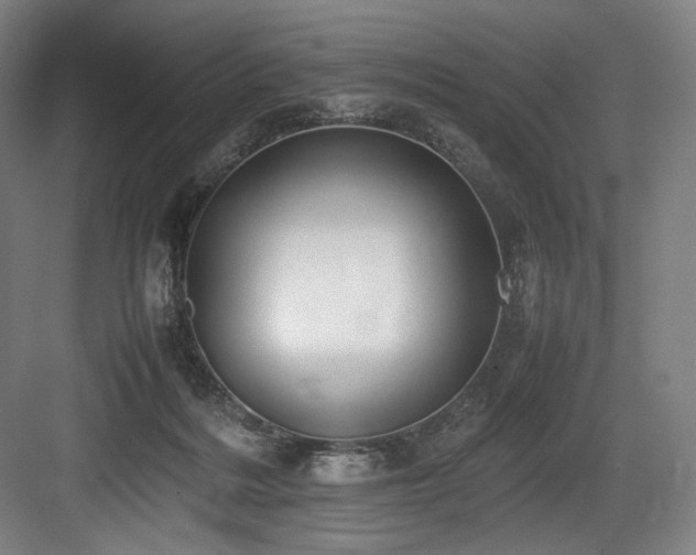 X0000083660220200702121224