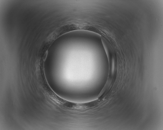 X0000083660221200702121224