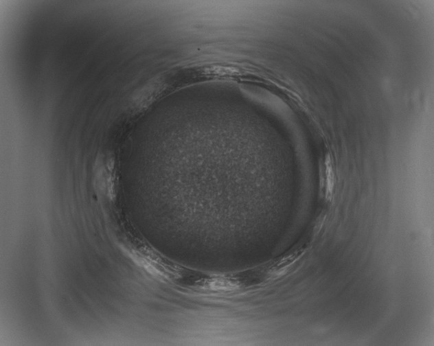 X0000083660223200702121224
