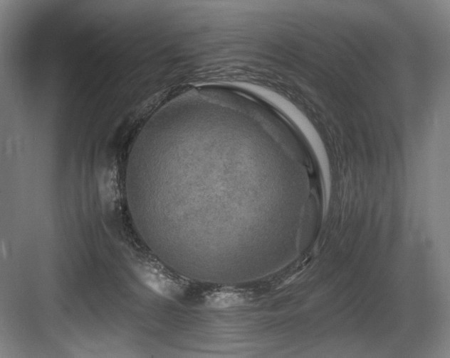 X0000083660224200702121224