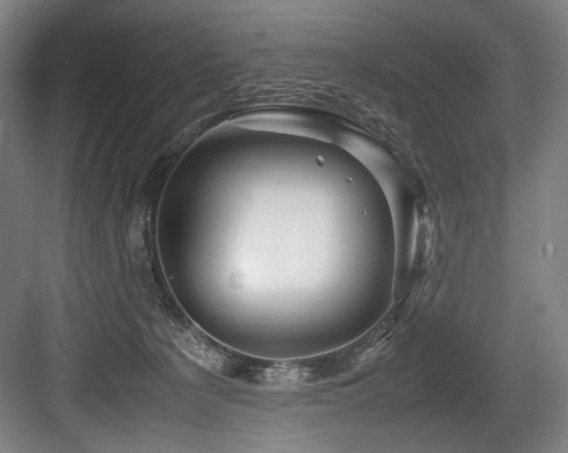 X0000083660225200702121224