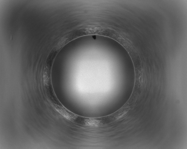 X0000083660226200702121224