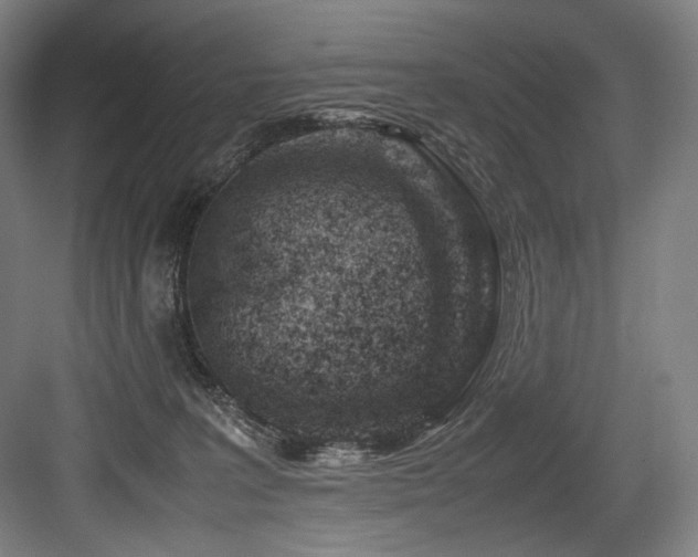 X0000083660227200702121224