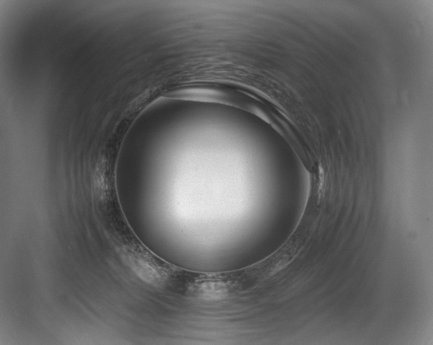 X0000083660228200702121224