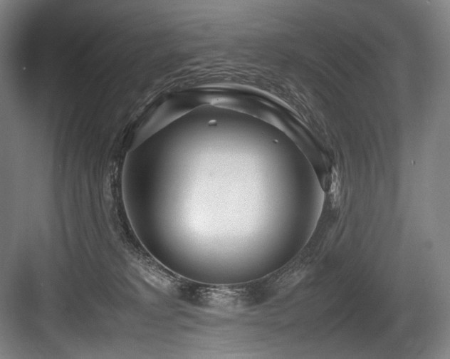 X0000083660229200702121224