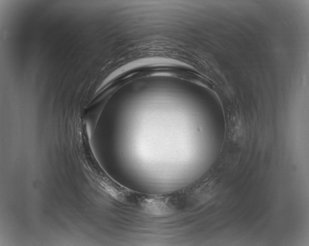 X0000083660232200702121224