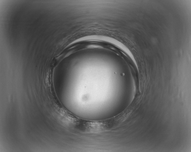X0000083660233200702121224