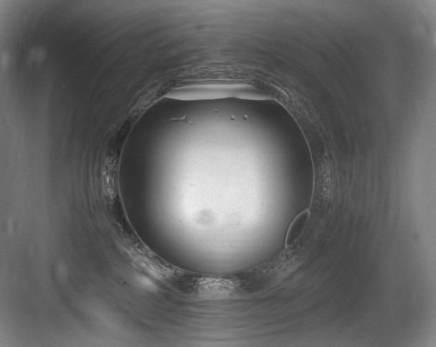 X0000083660234200702121224