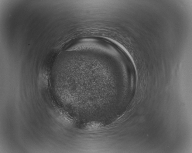 X0000083660235200702121224