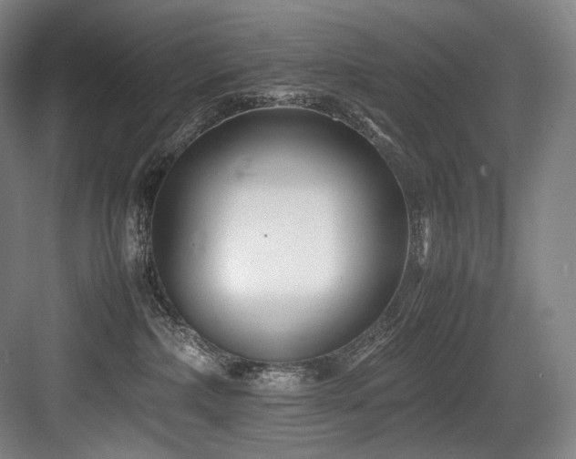X0000083660236200702121224