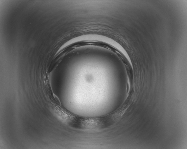 X0000083660237200702121224