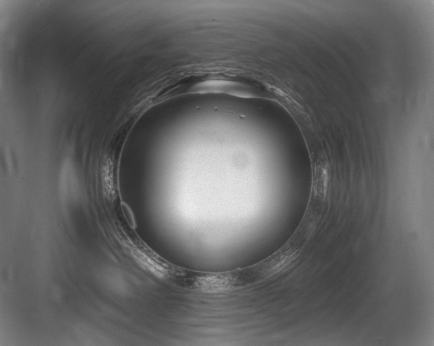 X0000083660238200702121224