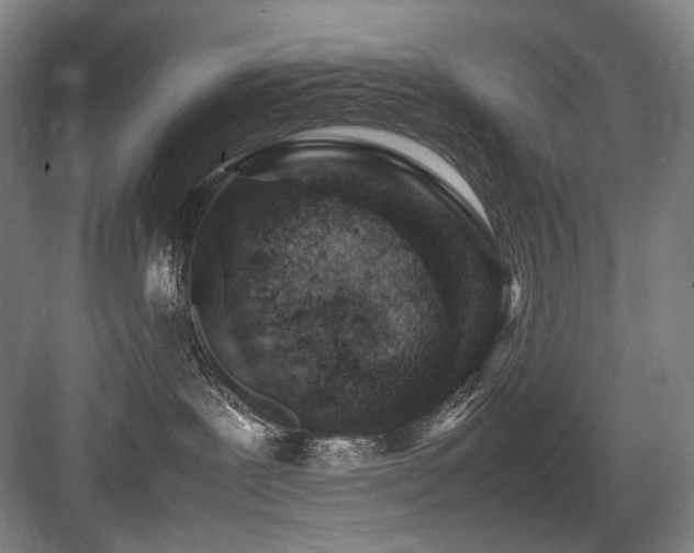 X0000083660239200702121224