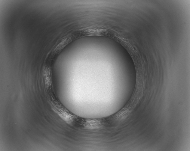 X0000083660240200702121224