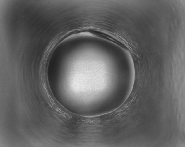 X0000083660241200702121223