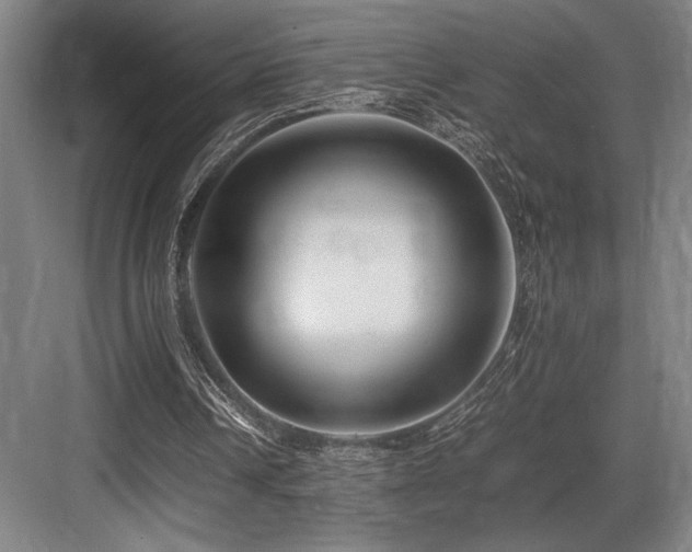 X0000083660242200702121223