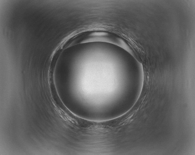 X0000083660244200702121223