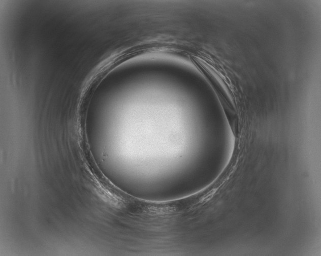 X0000083660245200702121223