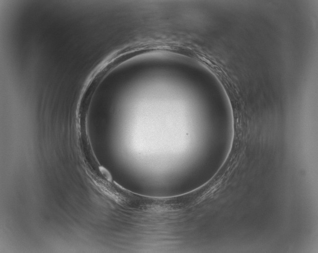 X0000083660246200702121223