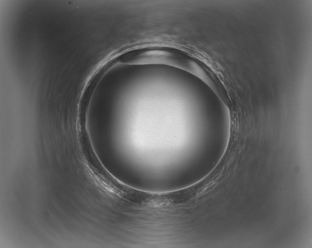 X0000083660248200702121223