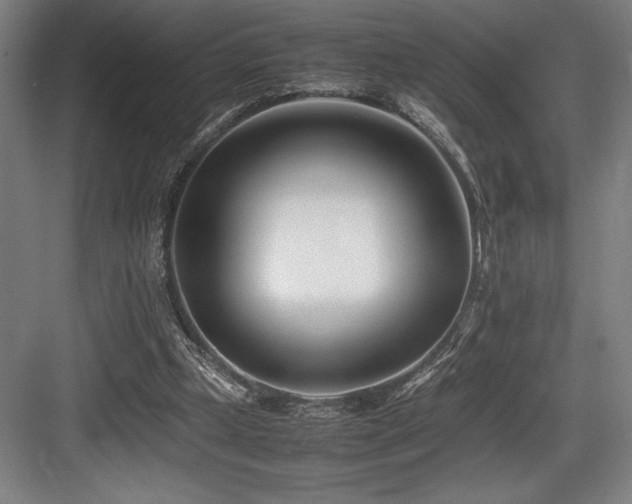 X0000083660249200702121223