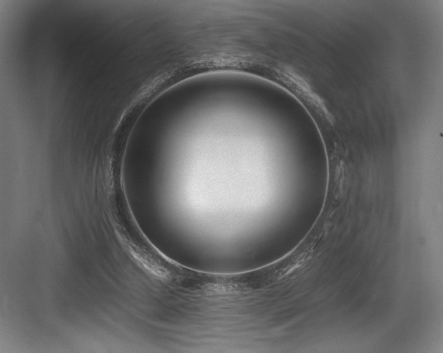 X0000083660250200702121223