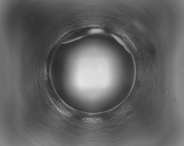 X0000083660251200702121223