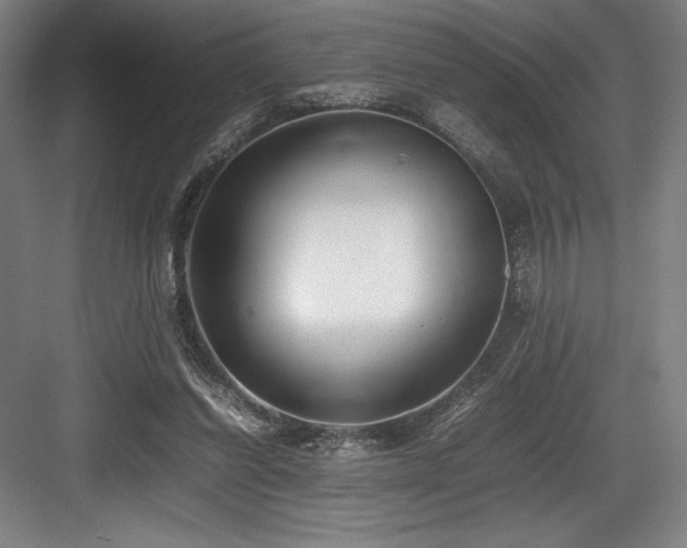 X0000083660254200702121223