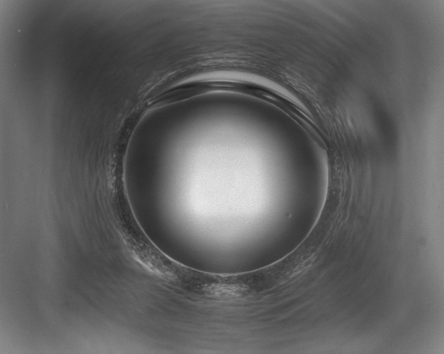 X0000083660255200702121223