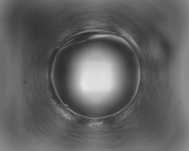 X0000083660257200702121223