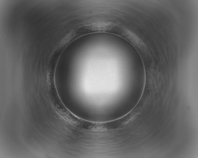 X0000083660258200702121223