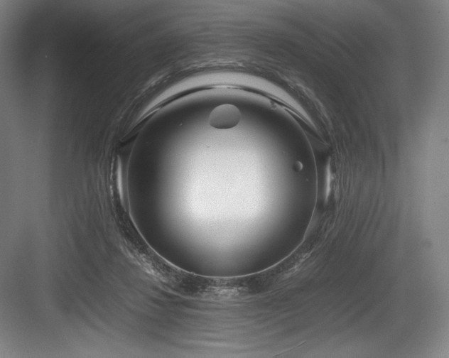 X0000083660260200702121223