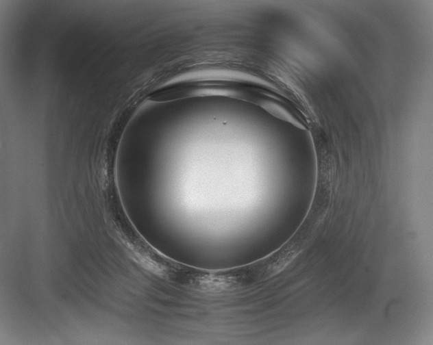 X0000083660261200702121223