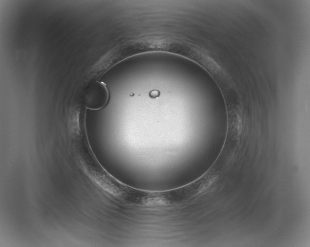 X0000083660262200702121223