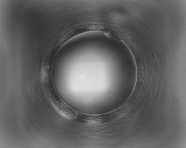 X0000083660263200702121223