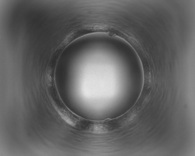 X0000083660264200702121223