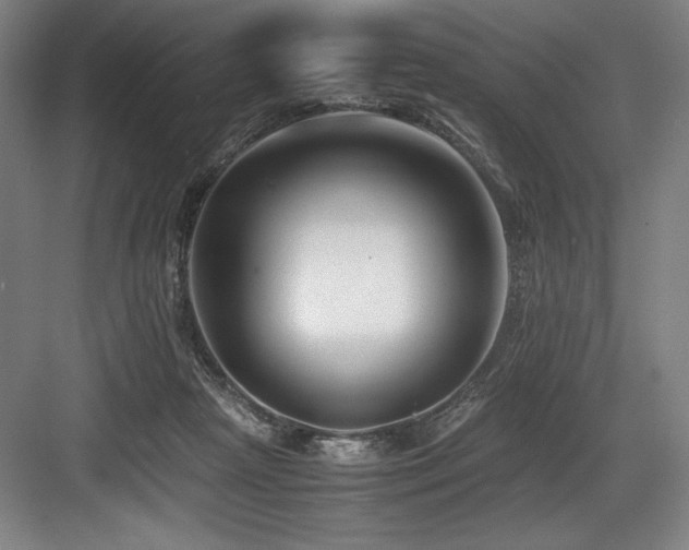 X0000083660265200702121223