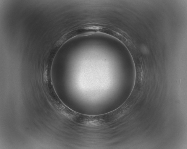 X0000083660267200702121223