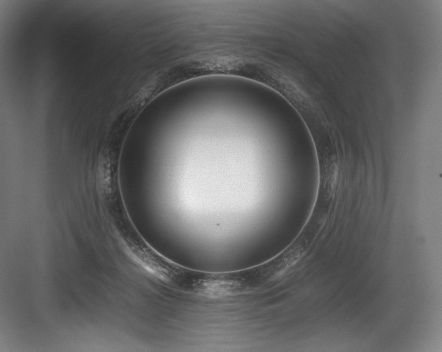 X0000083660268200702121223