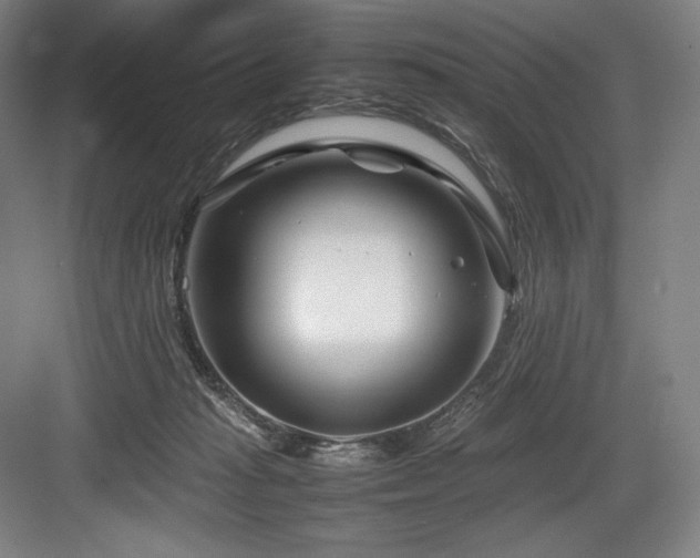 X0000083660269200702121223