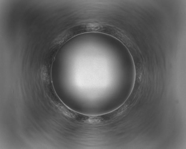 X0000083660270200702121223