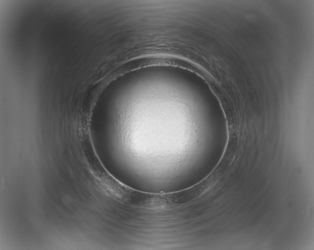 X0000083660272200702121224