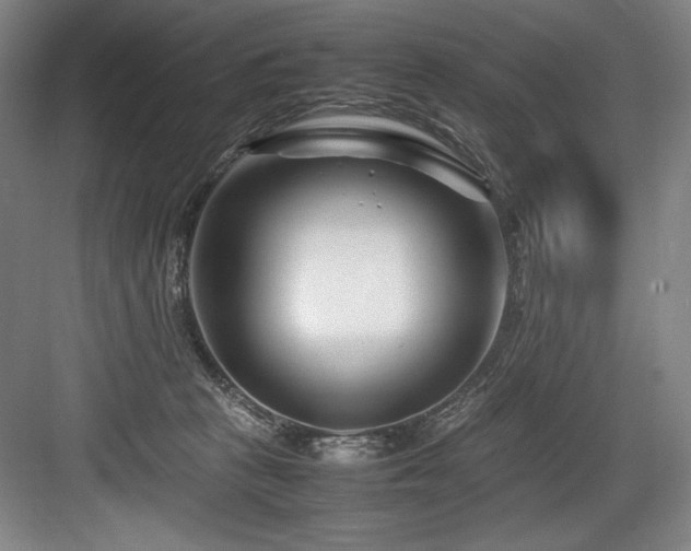 X0000083660273200702121224