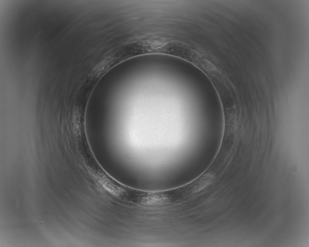 X0000083660274200702121224