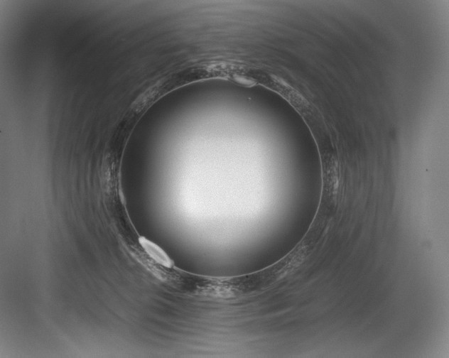 X0000083660276200702121224