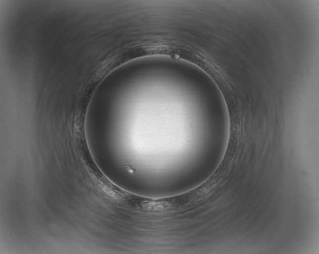 X0000083660277200702121224