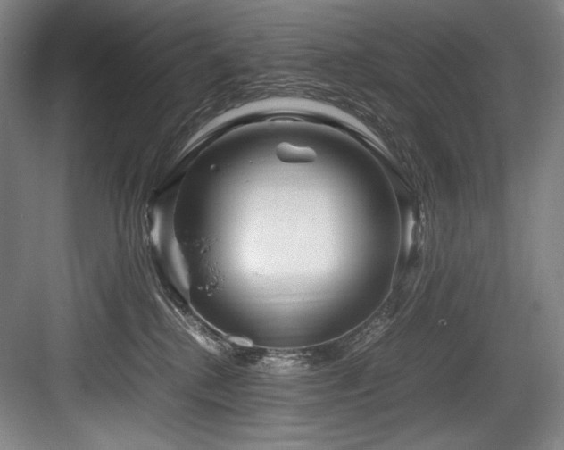X0000083660280200702121224