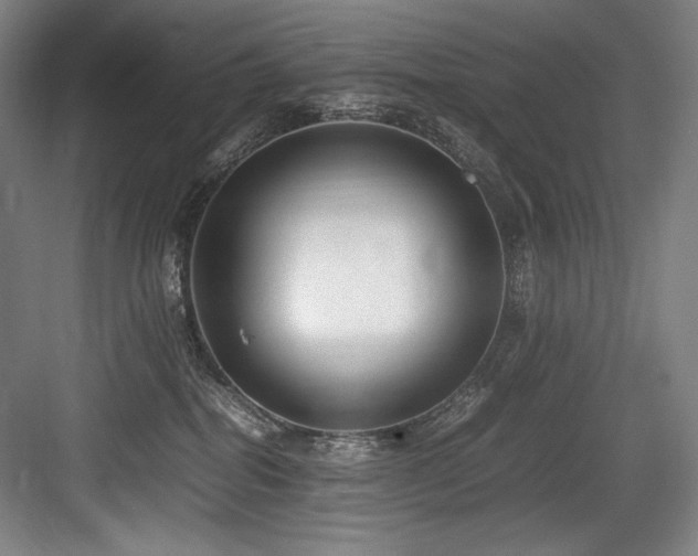 X0000083660282200702121224